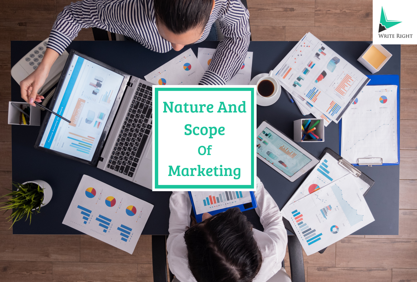 What Is Nature And Scope Of Marketing 2024: A Complete Guide With Everything Covered